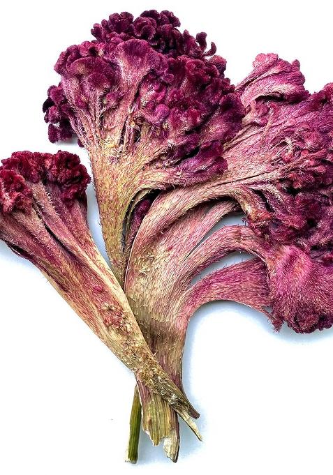 Kashmir Exotics Kashmiri Cockscomb Flower 100G Premium Mawal 100% Natural & Sun-Dried Edible Flowers Authentic Spice For Curries, Rice Traditional Dishes