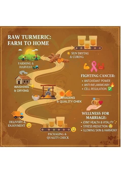 Parshutara Raw Turmeric Roots (Kacchi Haldi) 100% Chemical-Free, High Curcumin, Fresh & Handcrafted Ideal For Cooking, Herbal Teas, Skincare Traditional Ceremonies Natural Immunity Booster,Kacha Halud Ayurvedic Herb 400G