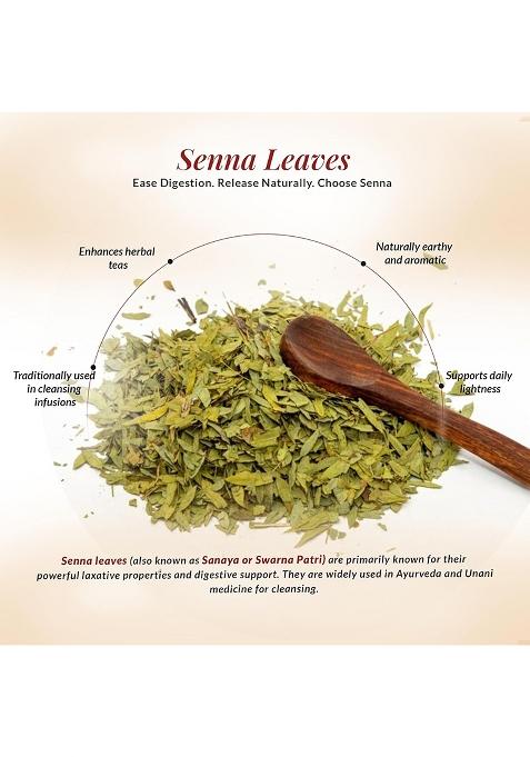 Buy Women Dr Arya Senna Leaves 100Gm | Natural Dried Herb For ...