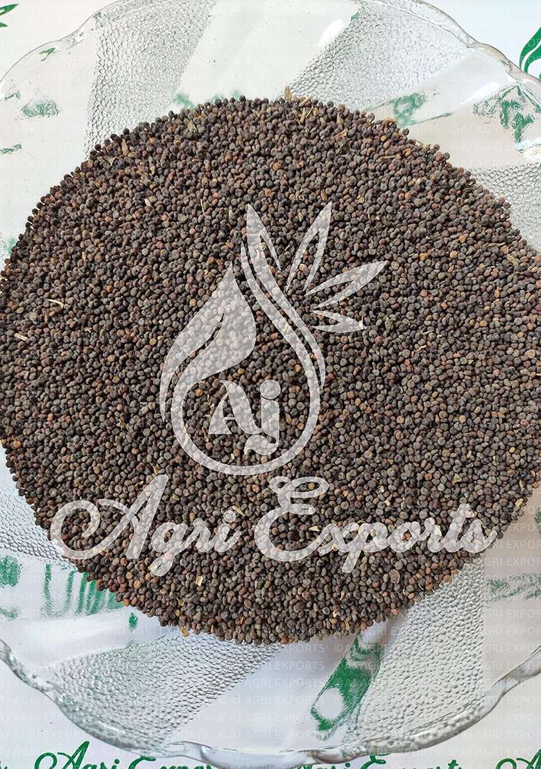 Aj Agri Exports Khurasani Ajwain - Khuswani Khursani Khurswani Parasikayavani Black Henbane Hyoscyamus Niger Seeds (100 Grams) - Indya