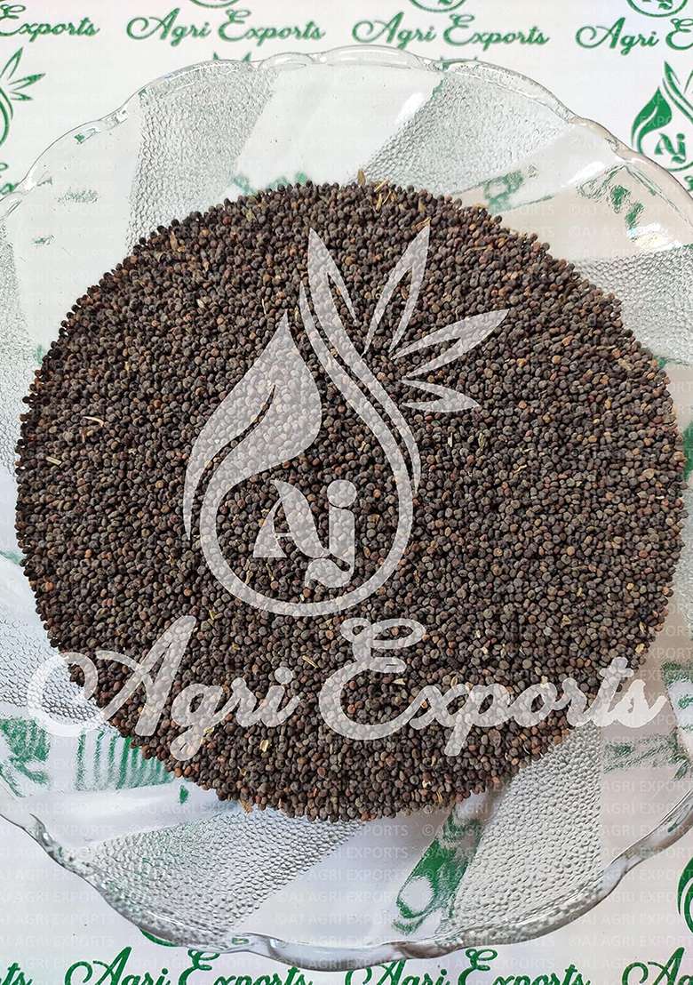 Aj Agri Exports Khurasani Ajwain - Khuswani Khursani Khurswani Parasikayavani Black Henbane Hyoscyamus Niger Seeds (100 Grams) - Indya