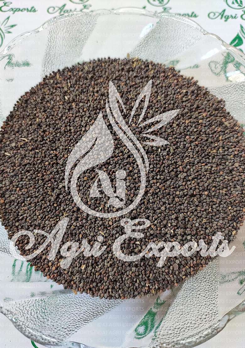 Aj Agri Exports Khurasani Ajwain - Khuswani Khursani Khurswani Parasikayavani Black Henbane Hyoscyamus Niger Seeds (100 Grams) - Indya