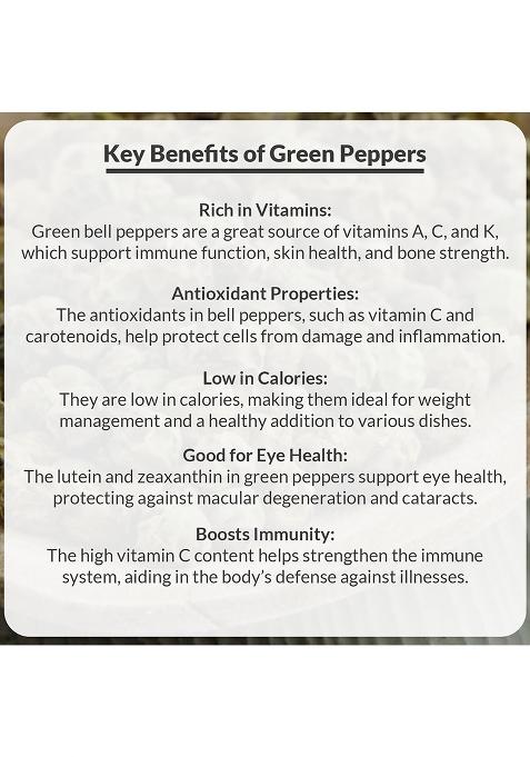 Kerala Spices Keralaspicesonline Green Pepper Whole Kali Mirch Sabut Idukki Homestead Produce For Seasoning Garam Masala, Tea, Rice, Dishes (Pouch Packaging)-100 Grams