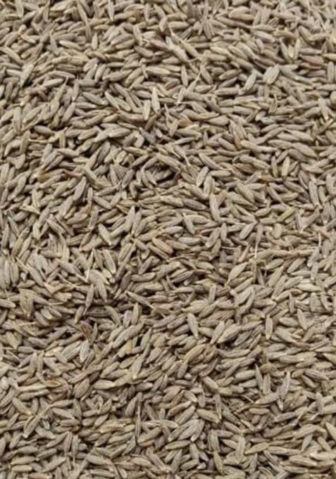 Marwar Jeera Whole Cumin Seeds 1Kg Pack | 100% Natural & Fresh