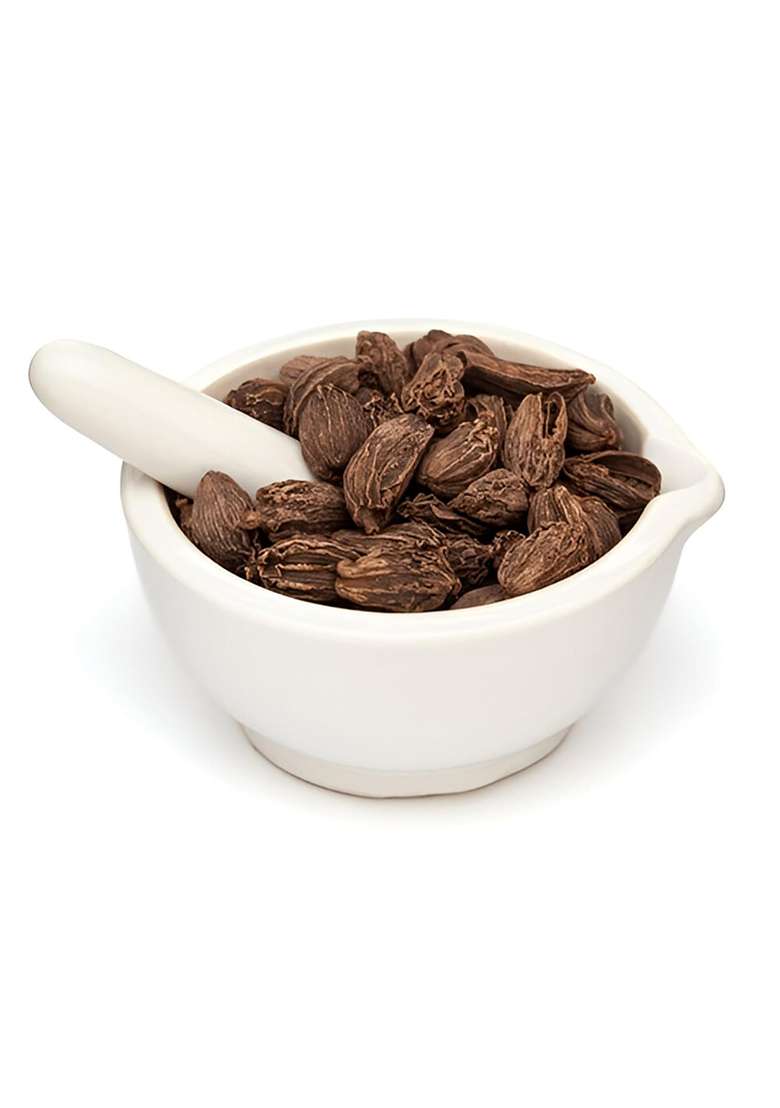 Harvitatva Badi Elaichi Whole (Black Cardamom) 100% Natural, Organic Kali Pods | Big Cardamom For Cooking, Tea, Kadha Sabut Moti Flavorful Indian Spice-25Gm - Indya