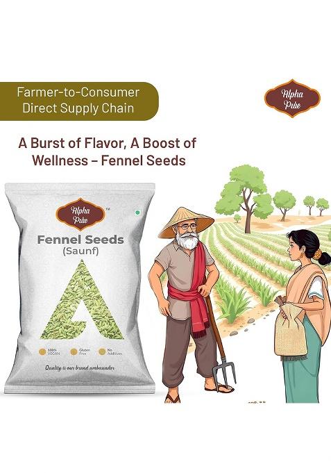 Alpha Pure Fennel Seeds (Saunf) 500G | Natural Mouth Freshener & Digestive Whole Saunf For Cooking, Pickles, Desserts, Curries, Masala Blends Traditional Indian Recipes Aromatic Healthy