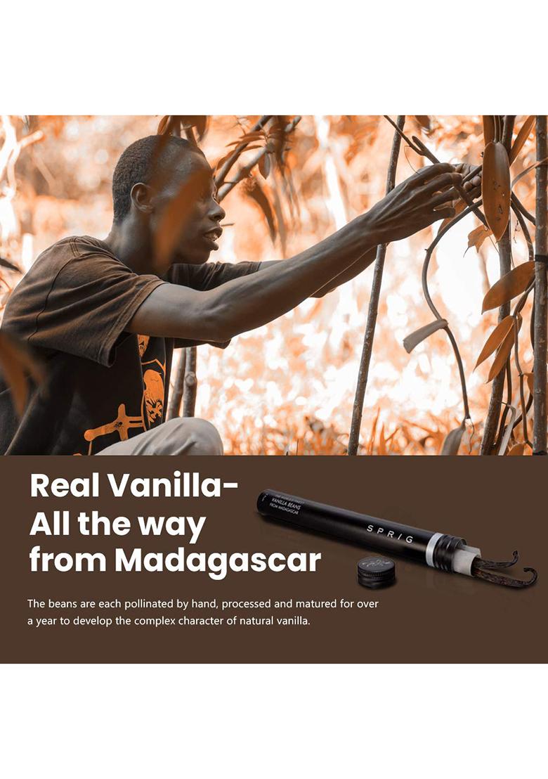 S P R I G Sprig The World'S Finest Vanilla Beans| Highest Grade Madagascar Beans | Gourmet Pods For Baking & Cooking Make Home-Made Extract 10