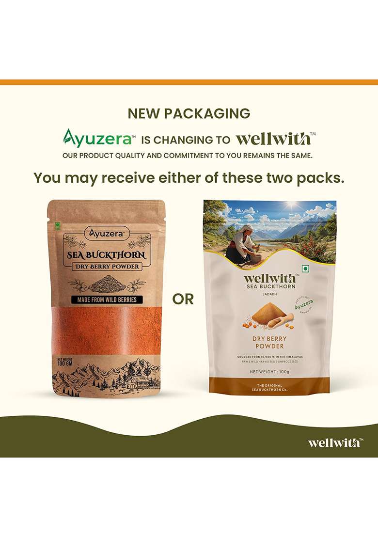 Ayuzera Wellwith By Sea Buckthorn Berry Powder 100G | Rich In Vitamin C No Oil Edible Fiber, Omegas Dry Seabuckthorn Himalayan Pack Of 1 - Indya