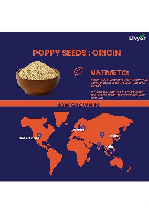 Livyor Natural White Poppy Seeds (Posto)