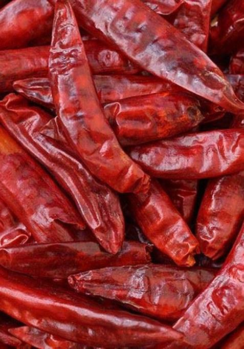 Nature Connect Guntur Mirchi (Stemless) - 1 Kg. (Sortex Clean)- Hot Dried Red Chilli/Sabut Lal Mirch/Red Chilli Whole