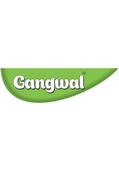 Gangwal Indori Poha Masala 100 Gm | Authentic Indore Powder For Poha, Chaat & Snacks Tangy, Spicy Flavorful No Preservatives
