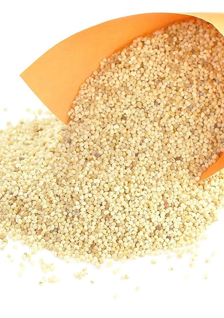 Avlokan 100% Natural White Poppy Seeds, | Posta Dana Khus Indian Posto Khas (Posta 250G) - Indya