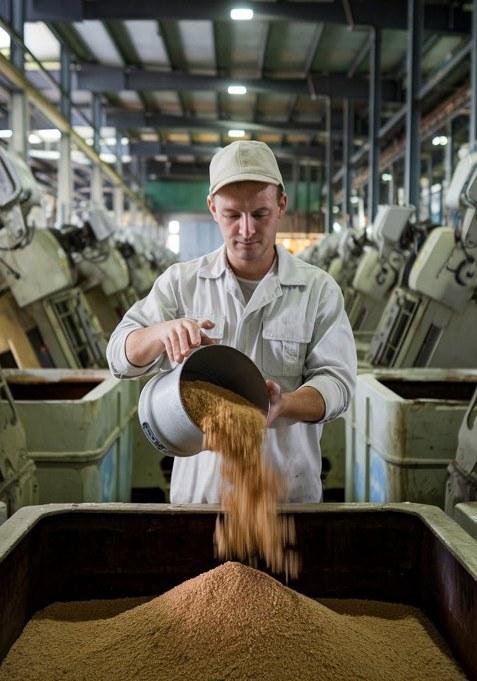 Organic One Celtic Sea Salt 1 Kg | Unprocessed & Purely Organic, Rich In Minerals, No Additives Perfect For Cooking, Seasoning Health Benefits