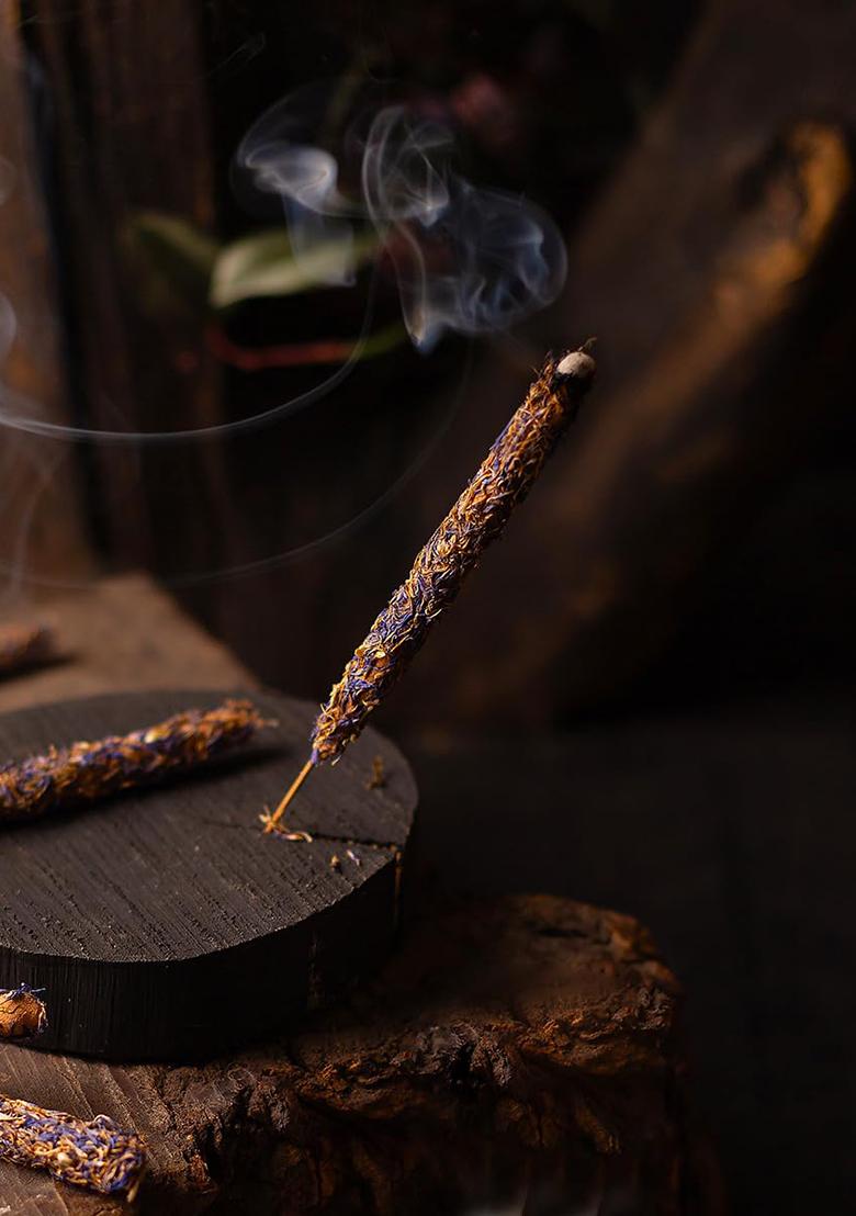 Goosebumps Premium Diwali Festive Gift Hamper | Celebration Box Corporate Pack For Friend & Family Carnival Dehyadrated Masala Fruits Combo Of 6 Snacks With Shudhikaran Kit