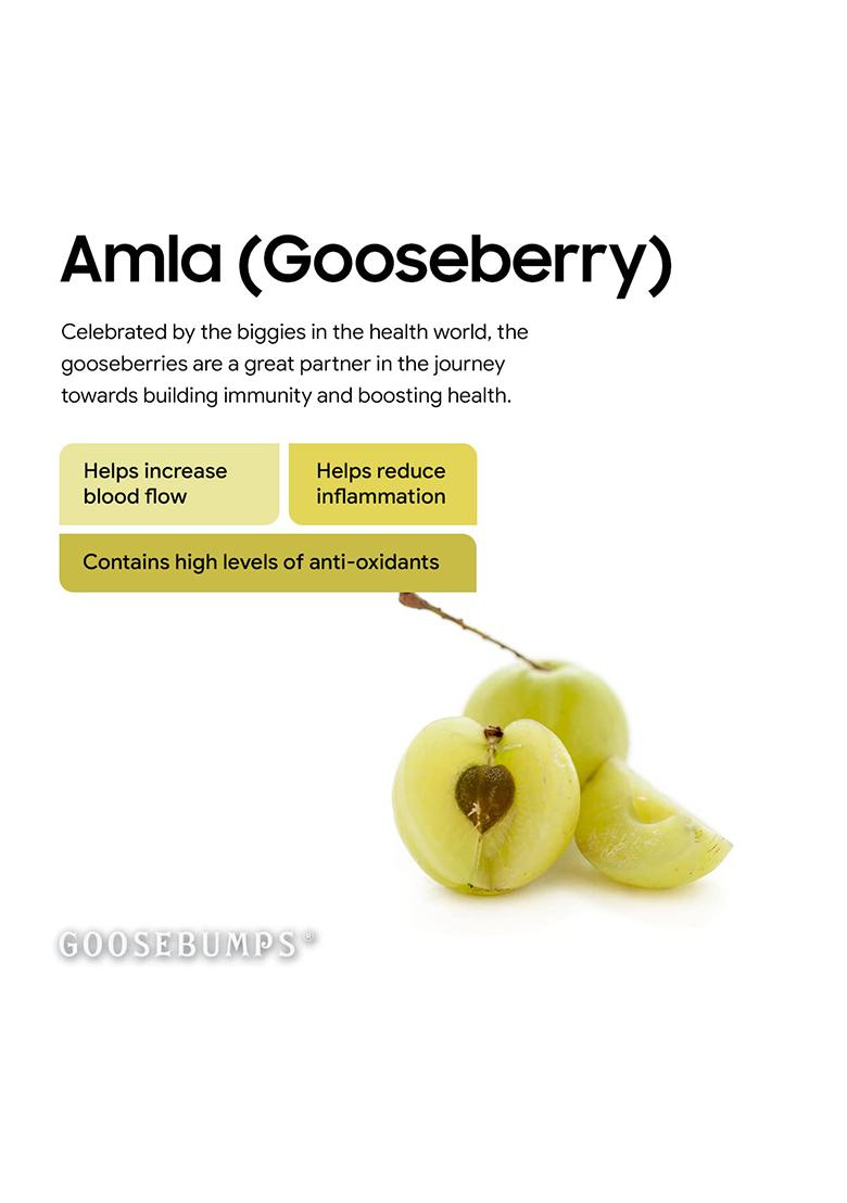 Goosebumps Premium Diwali Festive Gift Hamper | Celebration Box Corporate Pack For Friend & Family Carnival Dehyadrated Masala Fruits Combo Of 6 Snacks With Shudhikaran Kit