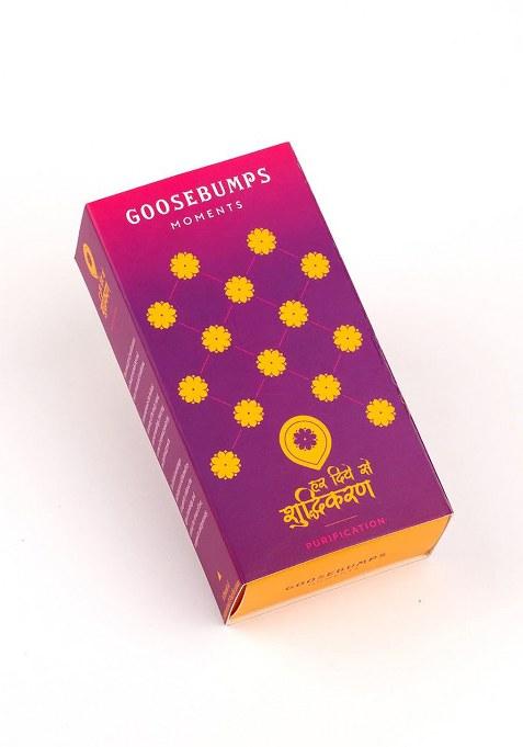 Goosebumps Premium Diwali Festive Gift Hamper | Celebration Box Corporate Pack For Friend & Family Carnival Dehyadrated Masala Fruits Combo Of 6 Snacks With Shudhikaran Kit