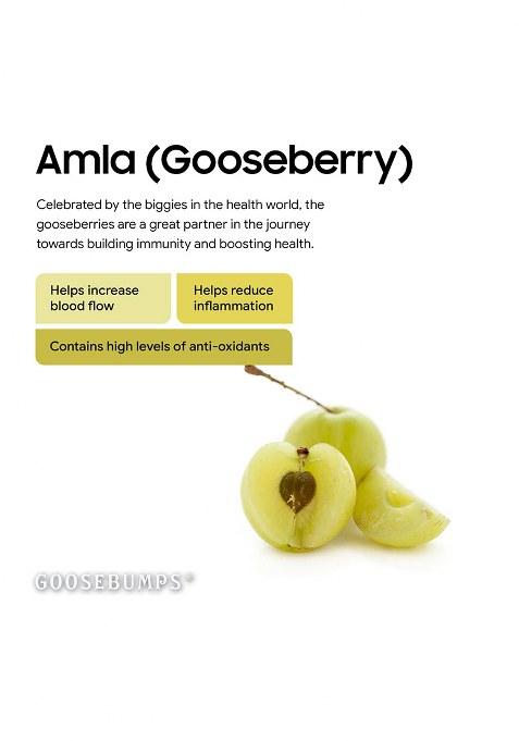 Goosebumps Premium Diwali Festive Gift Hamper | Celebration Box Corporate Pack For Friend & Family Carnival Dehyadrated Masala Fruits Combo Of 6 Snacks With Shudhikaran Kit