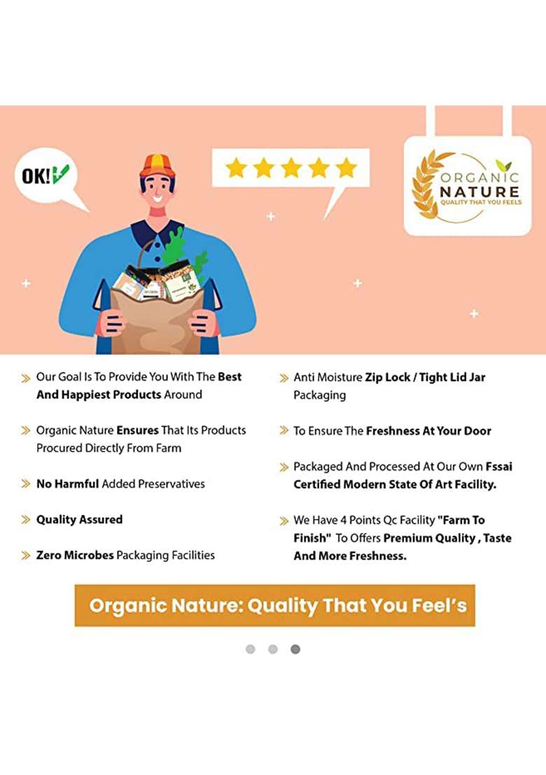 Organic Nature Chat Papadi (Pack Of 200 Gram) - Indya