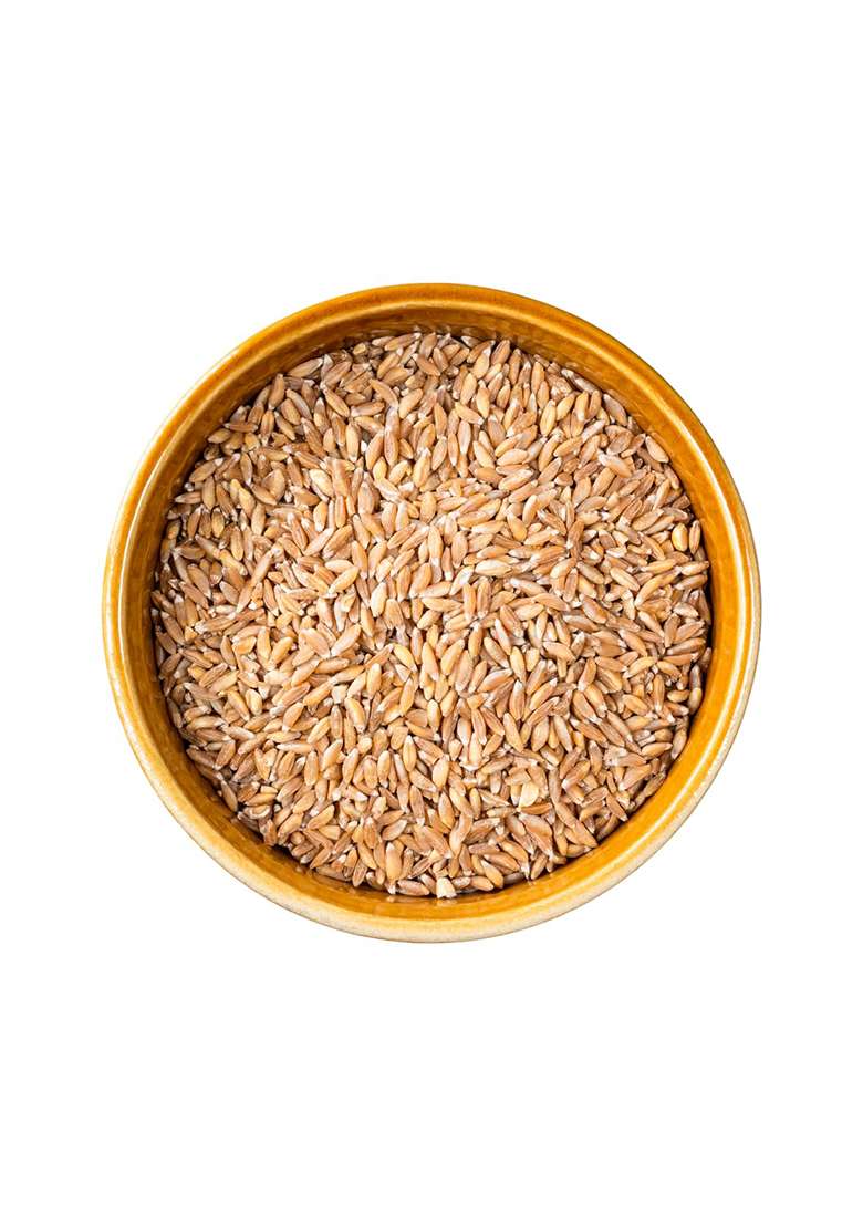 Jivabhumi Organic Long (Jave Godhi) 1 Kg | 100% Natural & Unpolished Whole Wheat Grains Rich In Fiber, Protein Nutrients Chemical-Free, Non-Gmo Stone-Cleaned Traditional Variety - Indya