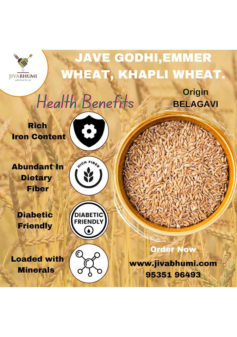 Jivabhumi Organic Long (Jave Godhi) 1 Kg | 100% Natural & Unpolished Whole Wheat Grains Rich In Fiber, Protein Nutrients Chemical-Free, Non-Gmo Stone-Cleaned Traditional Variety - Indya