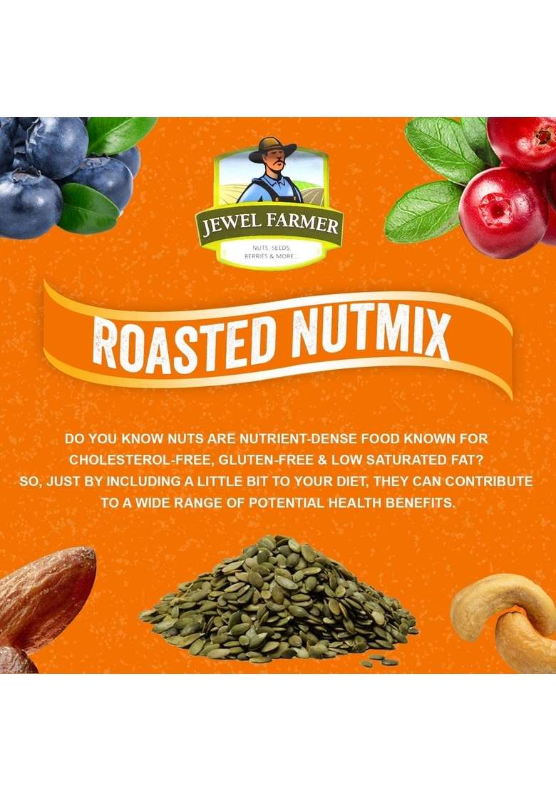 Jewel Farmer Roasted Nutmix Almonds Cashew Nuts Cranberries Black Raisins Pistachio Kernels Pumpkin Seeds Blueberries Tasty Healthy Berries Low Fat Cholesterol Gluten Free 200Grm - Indya