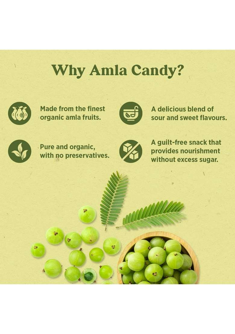 Raichura Organic Farm Amla Candy 500G – Rich In Vitamin C Antioxidants Homemade With Black Salt Natural Digestive Snack Chemical Free Boosts Immunity Healthy Refreshing Treat - Indya