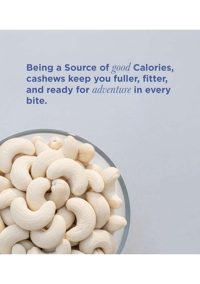 Nutsy Gutsy Premium Cashews 200G Zip Pouch | Kaju Unsalted Kaaju Healthy Nuts Dry Fruits Whole W320 - Indya