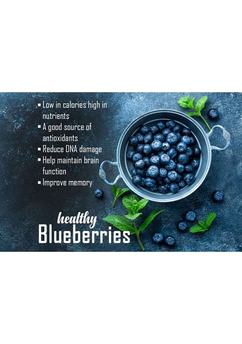 Nutrilin Dried Blueberry Plum 400G Natural Healthy Snack Sweet Tangy Fruit Antioxidant Rich Gluten Free Airtight Jar - Indya