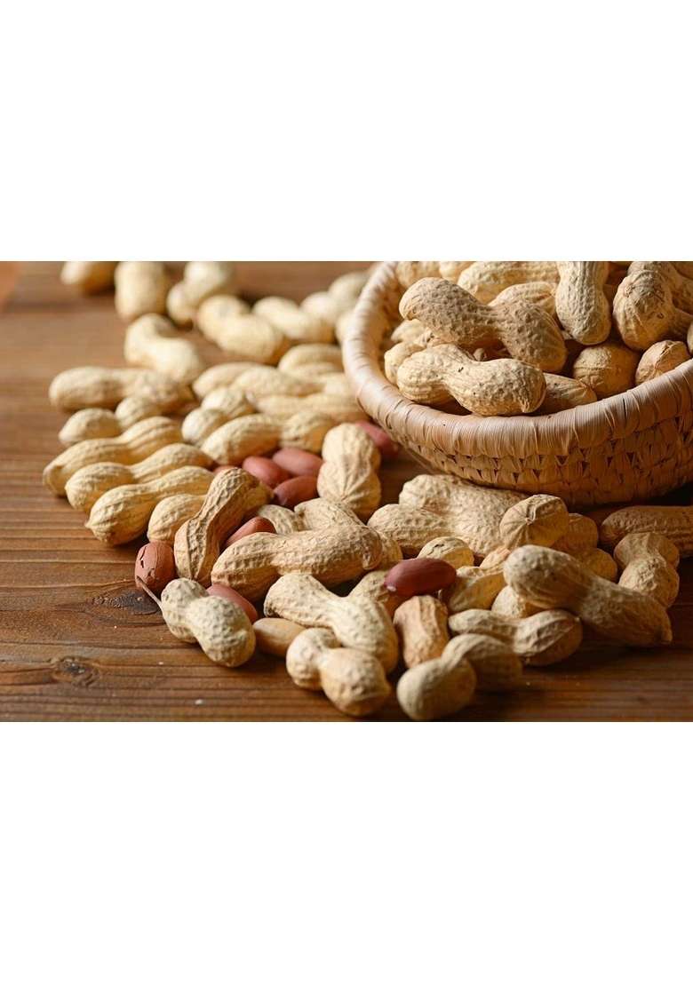 Organic Bites Groundnut With Shell Raw Peanut Sabut Mungfali Without Roasted 1 Kg - Indya