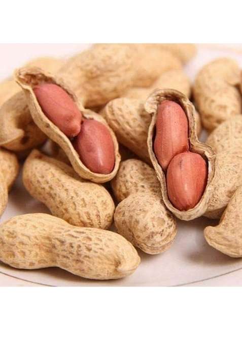 Shri Swastik Organics Sabut Mungfali | Whole Groundnut Pack Of 1 Kg Raw Peanut With Shell Winter Special Dana Without Roasted