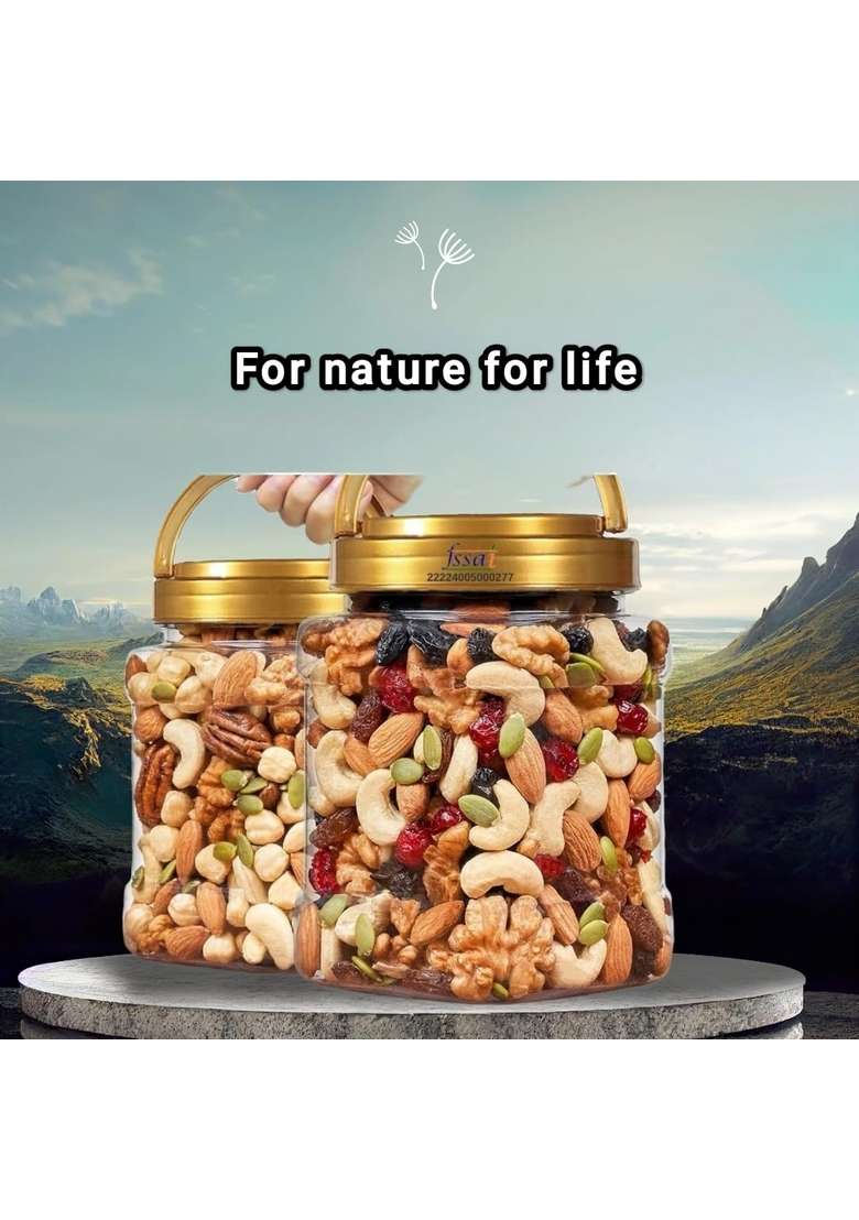 Nutkeen Healthy Nutmix 500Gpack2 Dried Almonds Black Raisins Cashewnuts Cranberries Dates Kiwi Pumpkin Seed Many More Pack Of Jar - Indya