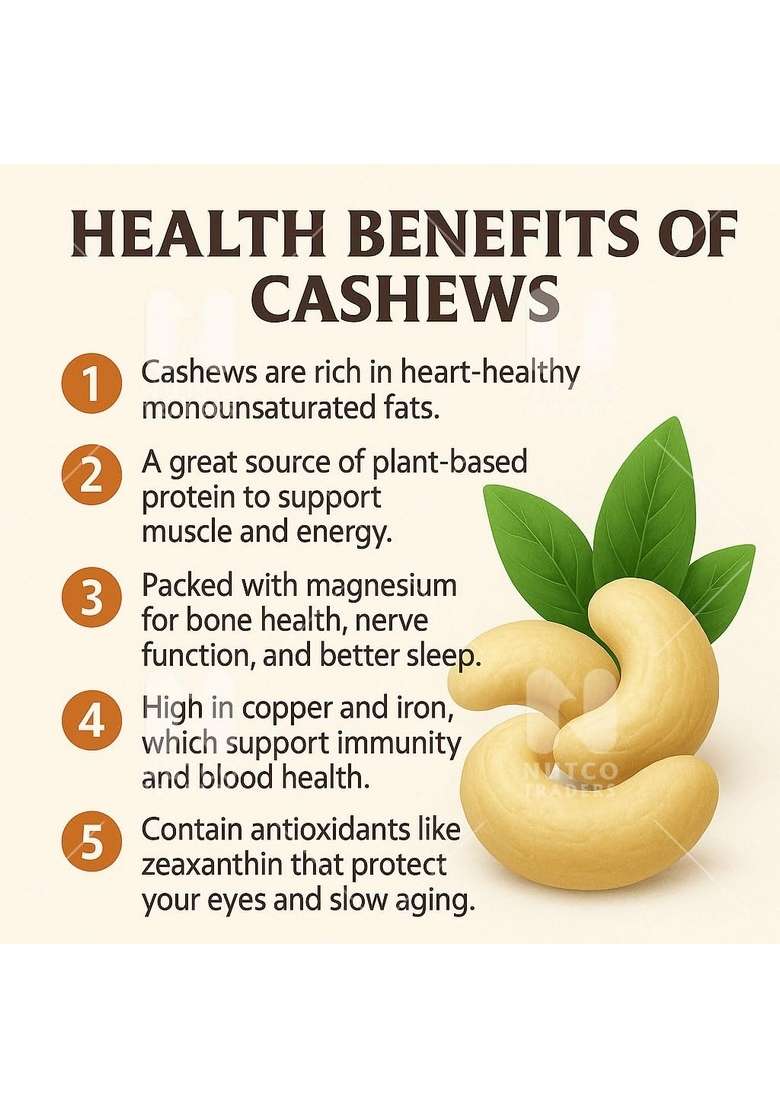 Nutco Traders Whole Cashews W 180 |100 Natural Premium|Whole Cashew|Premium Kaju Nuts|Crunchy Nutritious Delicious|Gluten Free Plant Based Protein | Value Pack 500 G - Indya