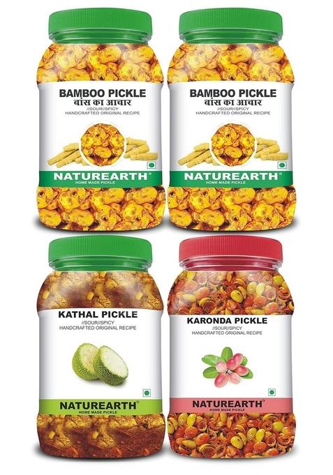 Naturearth 100 Natural Bamboo Pickle Kathal Karondha 800 G Primium Quality Achar