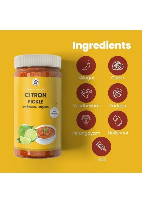 Amma Samayal Homemade Traditionally Made Pickles Each 300Gm Garlic