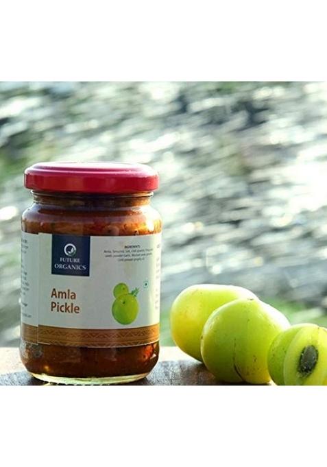 Future Organics –Eat Oragnic Be Organic Amla Pickle Low Oil With Homemade | High Nutritional Value Pack Of 2 160 Grams Each