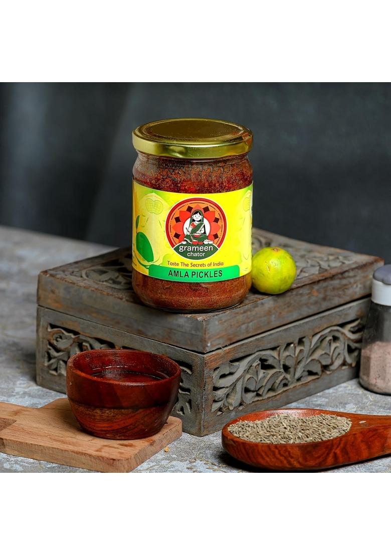 Grameen Chator Amla Pickle 500G Pack Of 1 |Homemade Indian Gooseberry Seedless Without Onion Garlic|Preservative Free|Tangy Amle Ka Achar|Natural Spices Mustard Oil