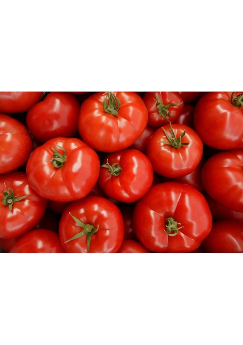 Hungry Beast 100 Natural Tomato Pickle | Pachadi No Preservetives Chemical Free 250 Grams