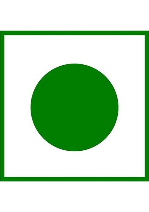 Jaina Silpa Mandir Mango Kashmiri Chutney Sweet 400G