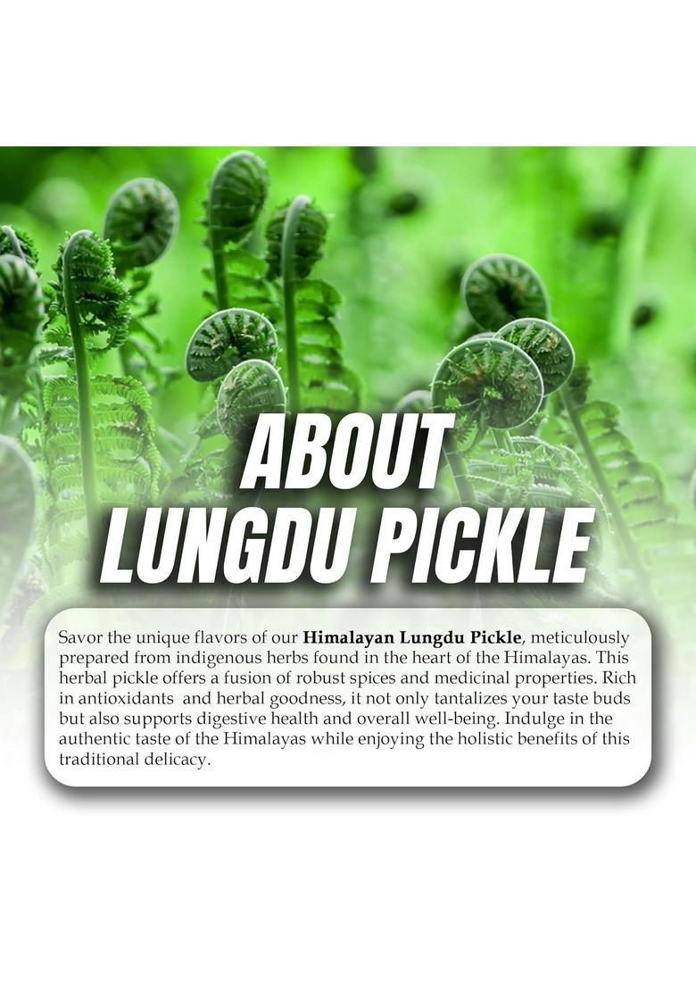 The Jungle Harvest Lungdu Pickle 250G | Unique Tangy From Himalayan Ferns For Indian Meals
