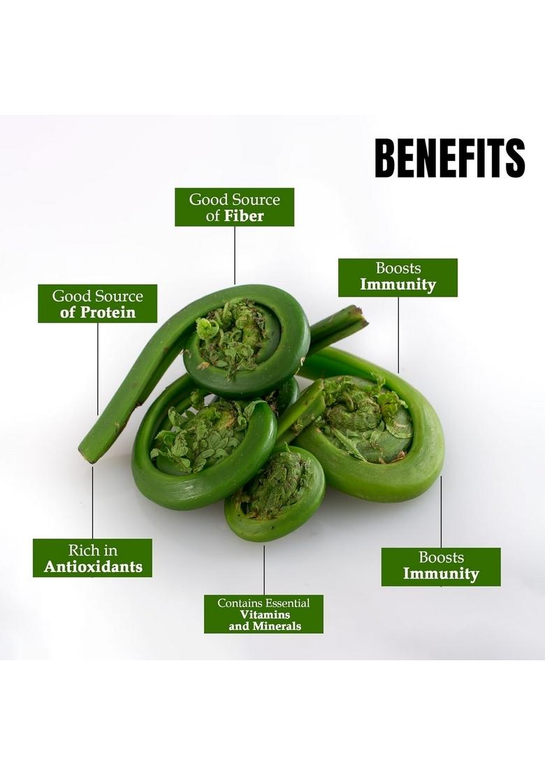 The Jungle Harvest Lungdu Pickle 250G | Unique Tangy From Himalayan Ferns For Indian Meals