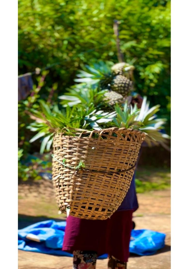 Farm Ripe Pineapple Sweet N Sour Pickle | Assamese Traditional Style Chutney Real And Fresh Pineapples Tangy Spicy