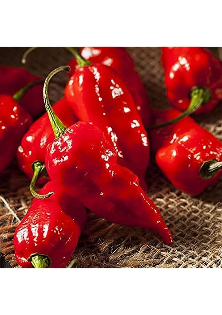 Madhur Pure Bhut Jolokia Pickle 50 Gram With No Artificial Color Flavour Of Other Chilli 100 2 - Indya