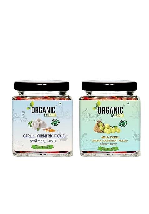 Organic Anand Homemade Indian Gooseberry Amla Pickle 250Gram And Garlic Turmeric With Neemwood Spoon Haldi Lahsun 500 Gram Combo Pack Of 2