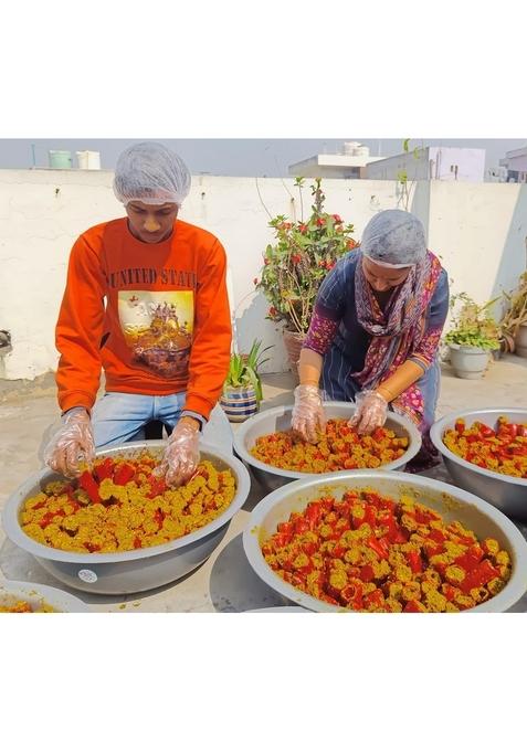 Jayani Homemade Stuffed Red Chilli Pickle 380 Gm