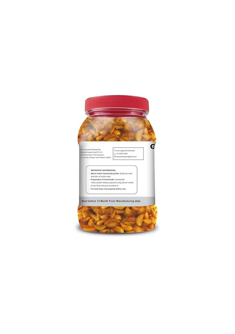Naturearth 100 Natural Garlic Kathal Ginger Pickle 600 G Primium Quality Achar - Indya