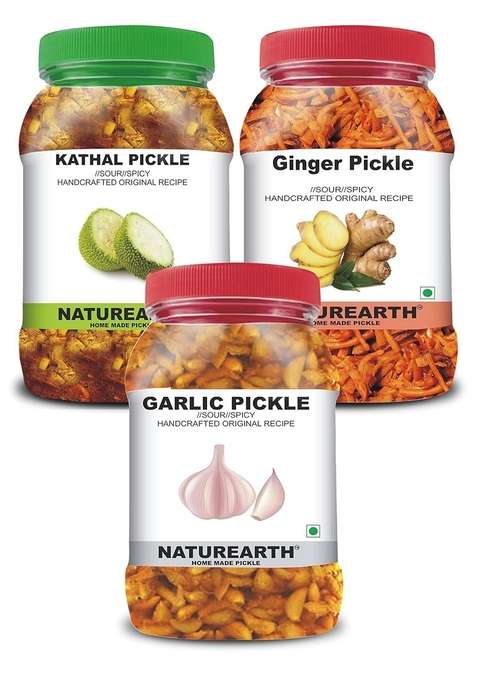 Naturearth 100 Natural Garlic Kathal Ginger Pickle 600 G Primium Quality Achar