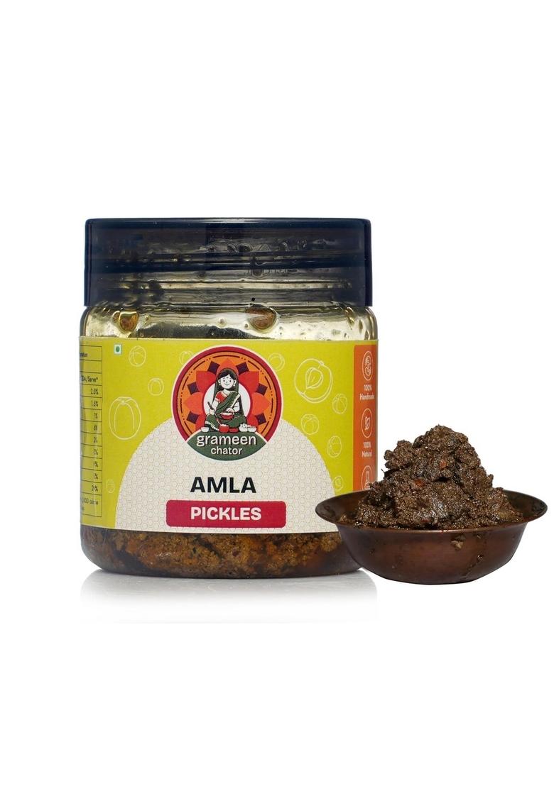Grameen Chator Amla Pickle 100G Pack Of 1 |Homemade Indian Gooseberry Seedless Without Onion Garlic|Preservative Free|Tangy Amle Ka Achar|Natural Spices Mustard Oil
