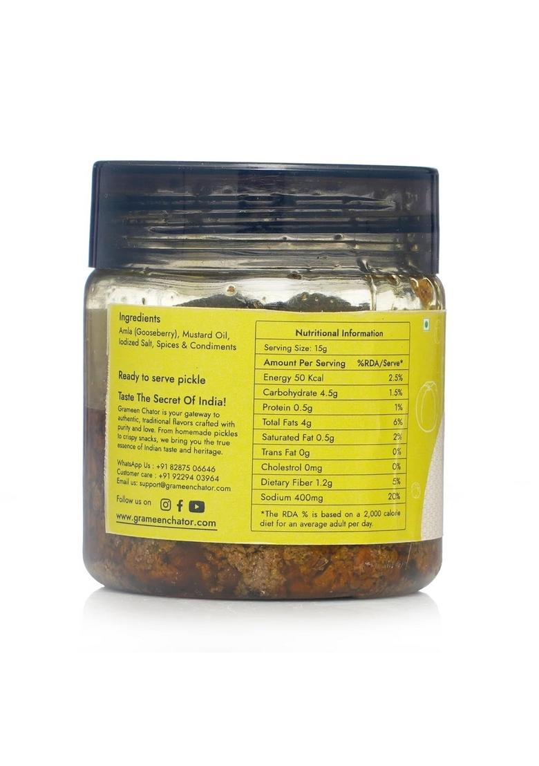 Grameen Chator Amla Pickle 100G Pack Of 1 |Homemade Indian Gooseberry Seedless Without Onion Garlic|Preservative Free|Tangy Amle Ka Achar|Natural Spices Mustard Oil