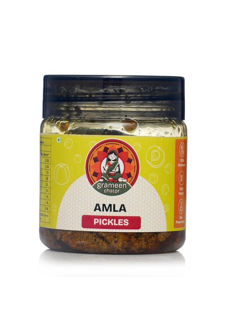 Grameen Chator Amla Pickle 100G Pack Of 1 |Homemade Indian Gooseberry Seedless Without Onion Garlic|Preservative Free|Tangy Amle Ka Achar|Natural Spices Mustard Oil