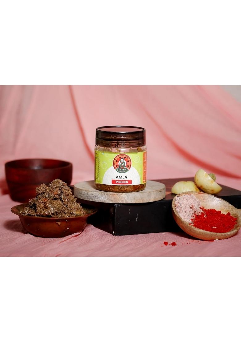 Grameen Chator Amla Pickle 100G Pack Of 1 |Homemade Indian Gooseberry Seedless Without Onion Garlic|Preservative Free|Tangy Amle Ka Achar|Natural Spices Mustard Oil